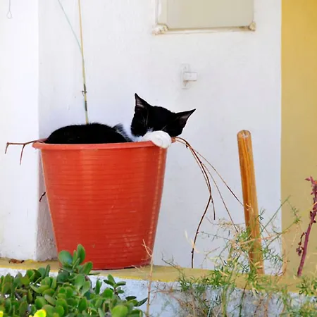 Villa Varandas Do 5 Bedroom Private Pool Table Tennis *