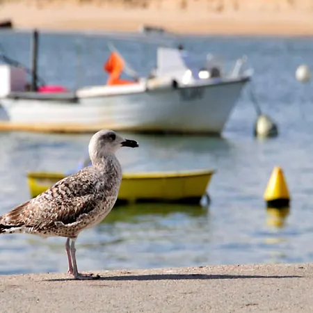 Varandas Do 5 Bedroom Private Pool Table Tennis Vale do Lobo